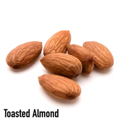 Toasted Almond Coffee, 35 Single Serve Cups -Beverage Shop ta4